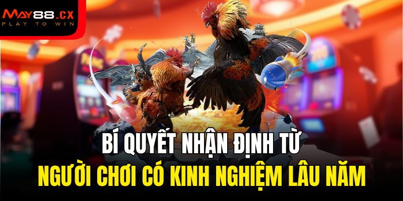 Bí quyết nhận định từ người chơi có kinh nghiệm lâu năm