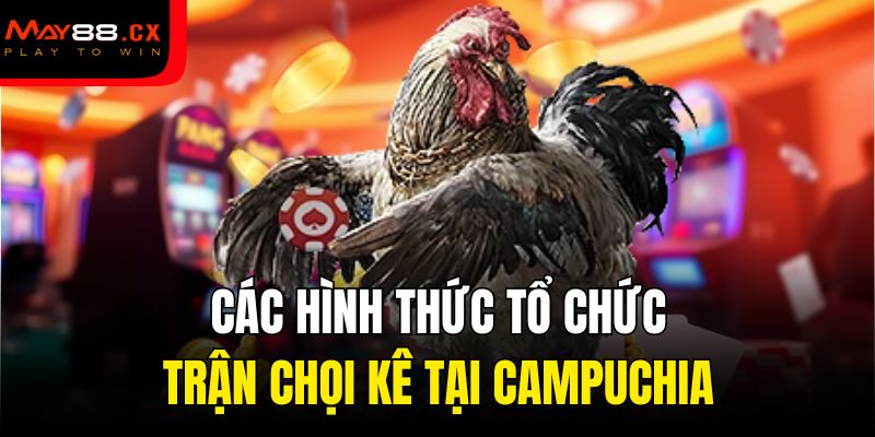 Các hình thức tổ chức trận chọi kê tại Campuchia