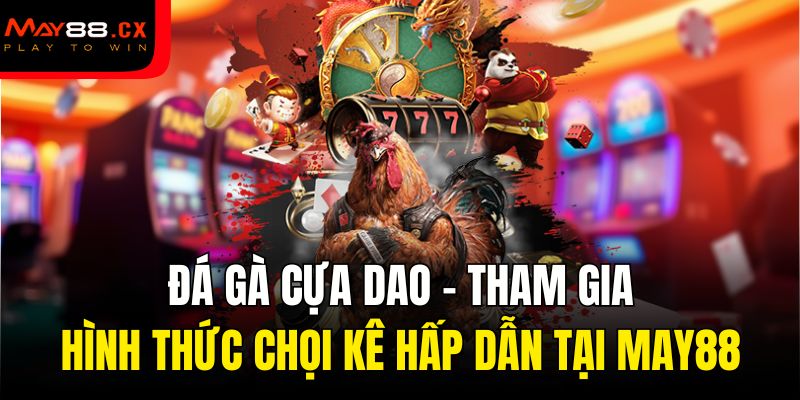 đá gà cựa dao